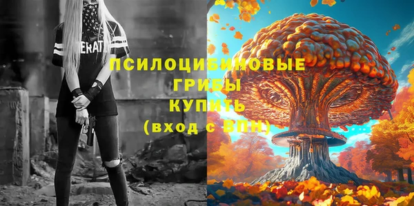mdpv Лихославль
